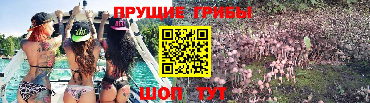 Псилоцибиновые грибы MAGIC MUSHROOMS Кунгур