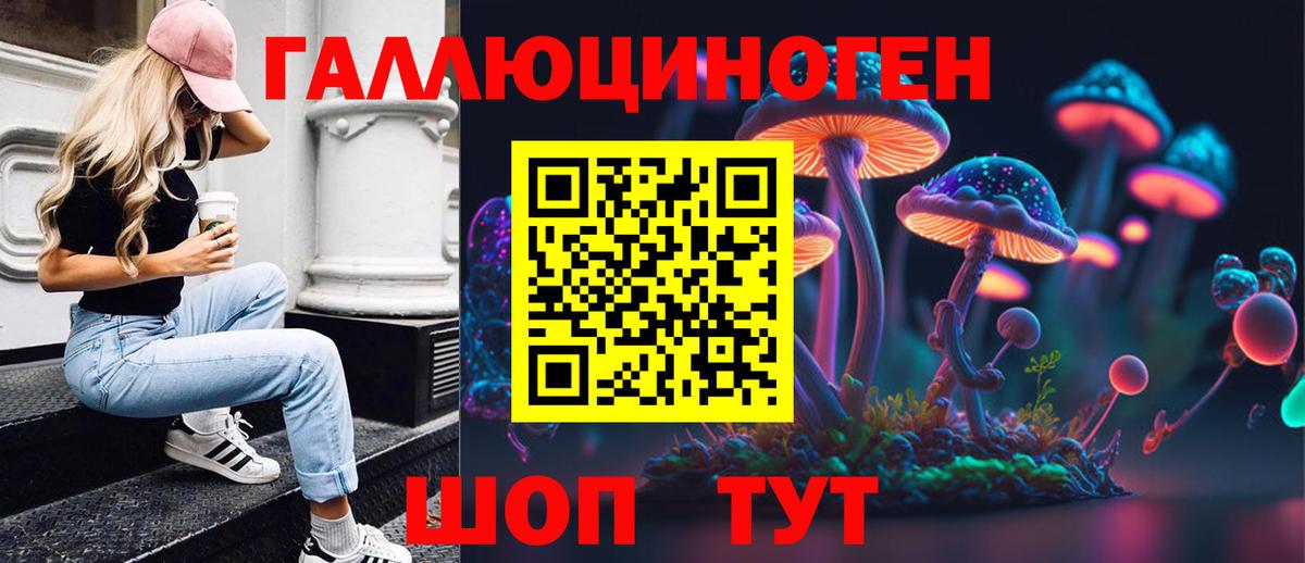 Кунгур  Галлюциногенные грибы Cubensis  Вход с VPN 
